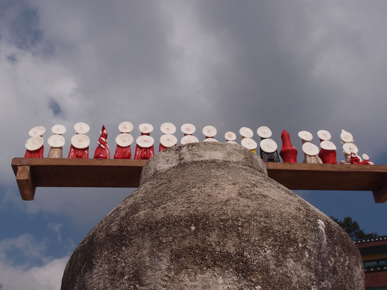2018-01-16 12 Uhr - Im Shivapuri Nagarjun National Park (Nagi Gumba) (Foto) 